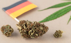 Cannabis-Legalisierung kann Konsum unter Jugendlichen erhöhen!